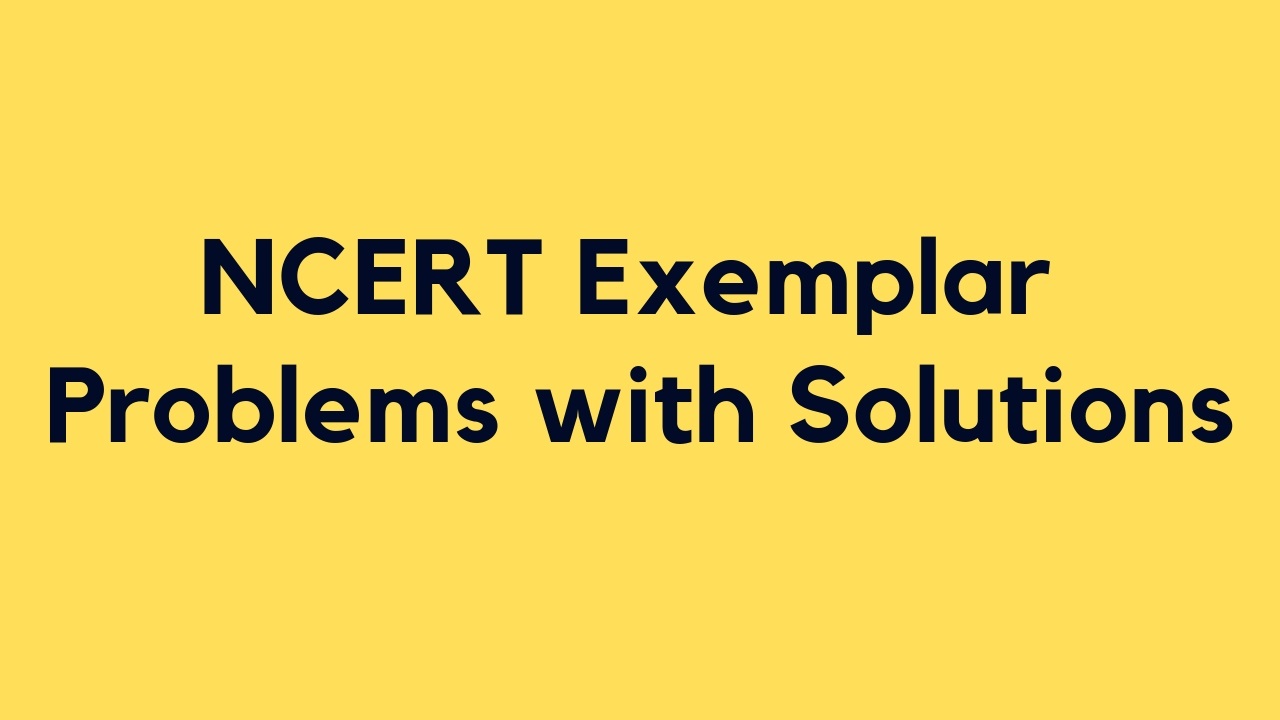 NCERT Exemplar Math